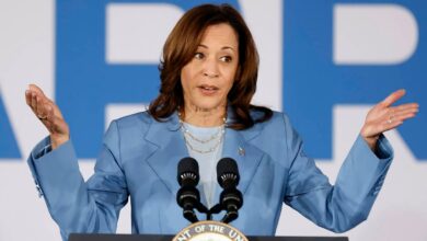Kamala Harris’ Viral ‘Coconut Tree’ Quote, Explained