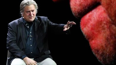 Steve Bannon Sex Robot Conference Keynote Speech Led to Former Trump Official’s Speaking-Engagement Cancellations