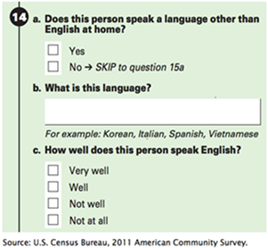 Census Form