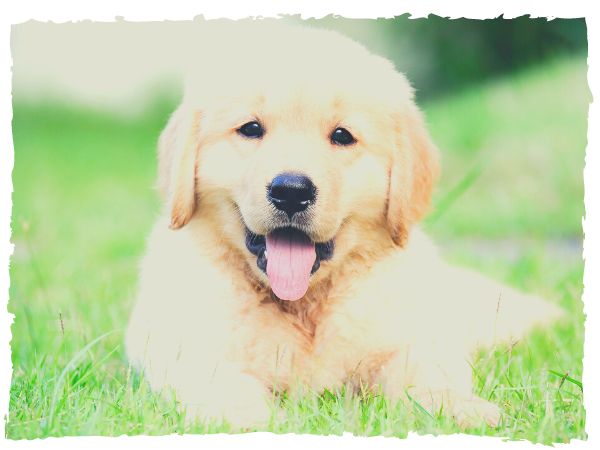 uplifting tales | motivating narratives | heartwarming accounts
