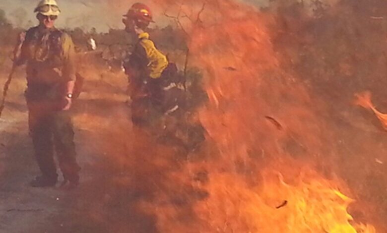 The Best Apps and Websites for Tracking Wildfires The Best Apps and Websites for Tracking Wildfires