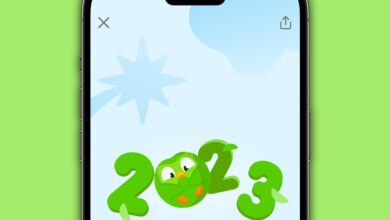 Duolingo Year in Review 2023: how to find yours right now Duolingo Year in Review 2023: how to find yours right now