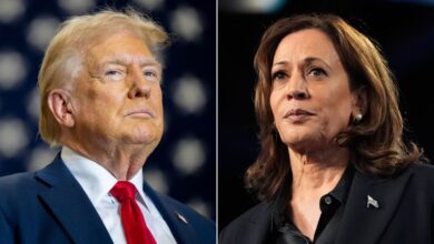 Harris’ border visit and economy speech capture attention as warning signs emerge for campaign