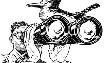 Revealing leaders’ blind spots