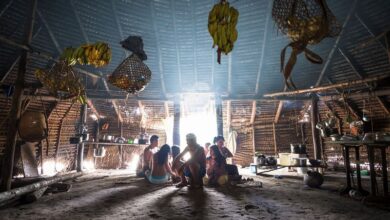 “If they disappear, so will that rainforest.” Céline Cousteau presents Tribes on the Edge