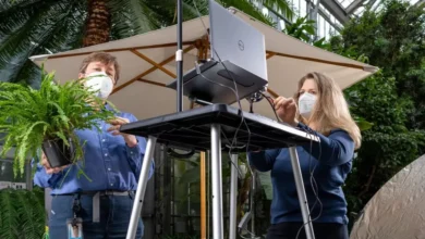 U.S. Botanic Garden Taps New Technologies To Grow Plant Education
