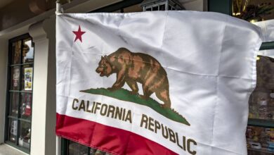 California announces 6-month trial of generative AI tools inside state government