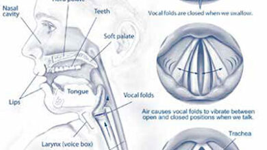 Taking Care of Your Voice