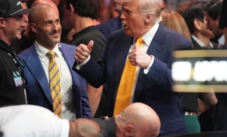 Trump sits cageside with several cabinet members at Miami UFC event in latest appearance at sports event Trump sits cageside with several cabinet members at Miami UFC event in latest appearance at sports event