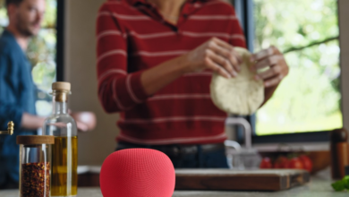 Hey Google, meet Gemini: the new voice of your smart home